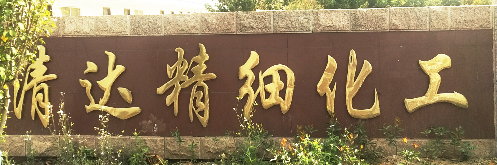 山東德福涂料有限公司